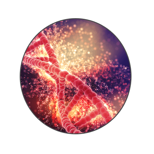 stem cell treatment
